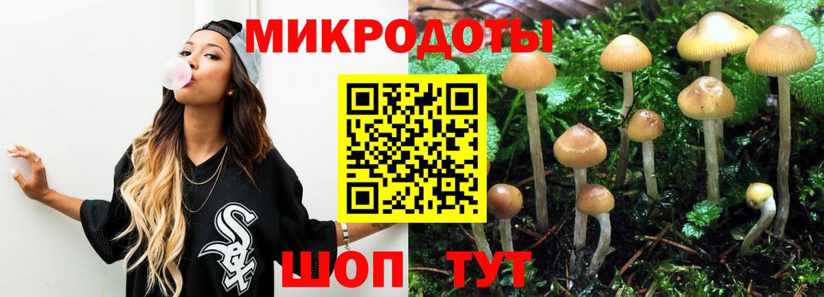 Галлюциногенные грибы мухоморы Гусев